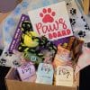 Dandy Snack Club Crazy Pooch Doggy Snack Box